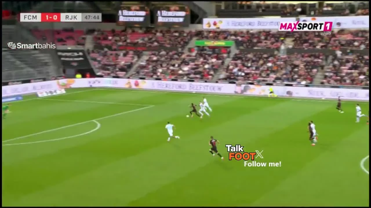 zaslepka skrotu video