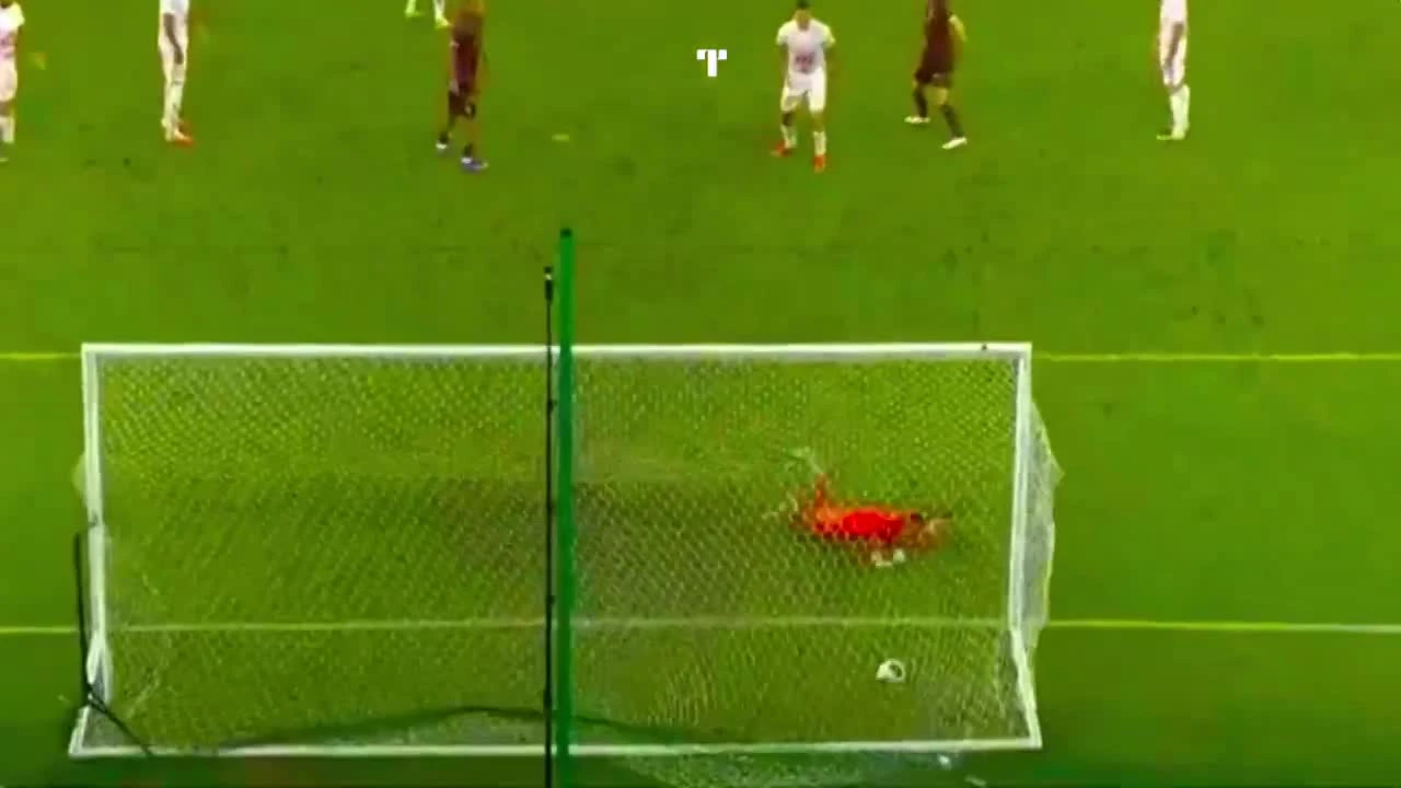 zaslepka skrotu video