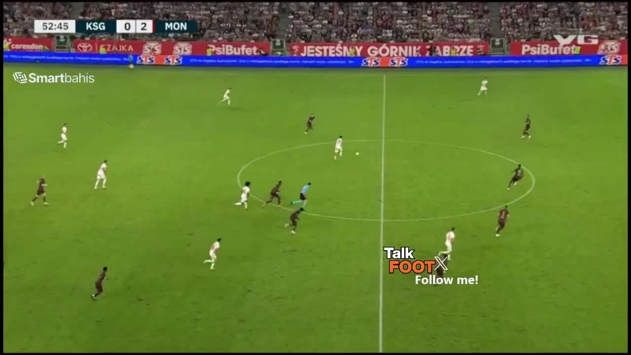 zaslepka skrotu video