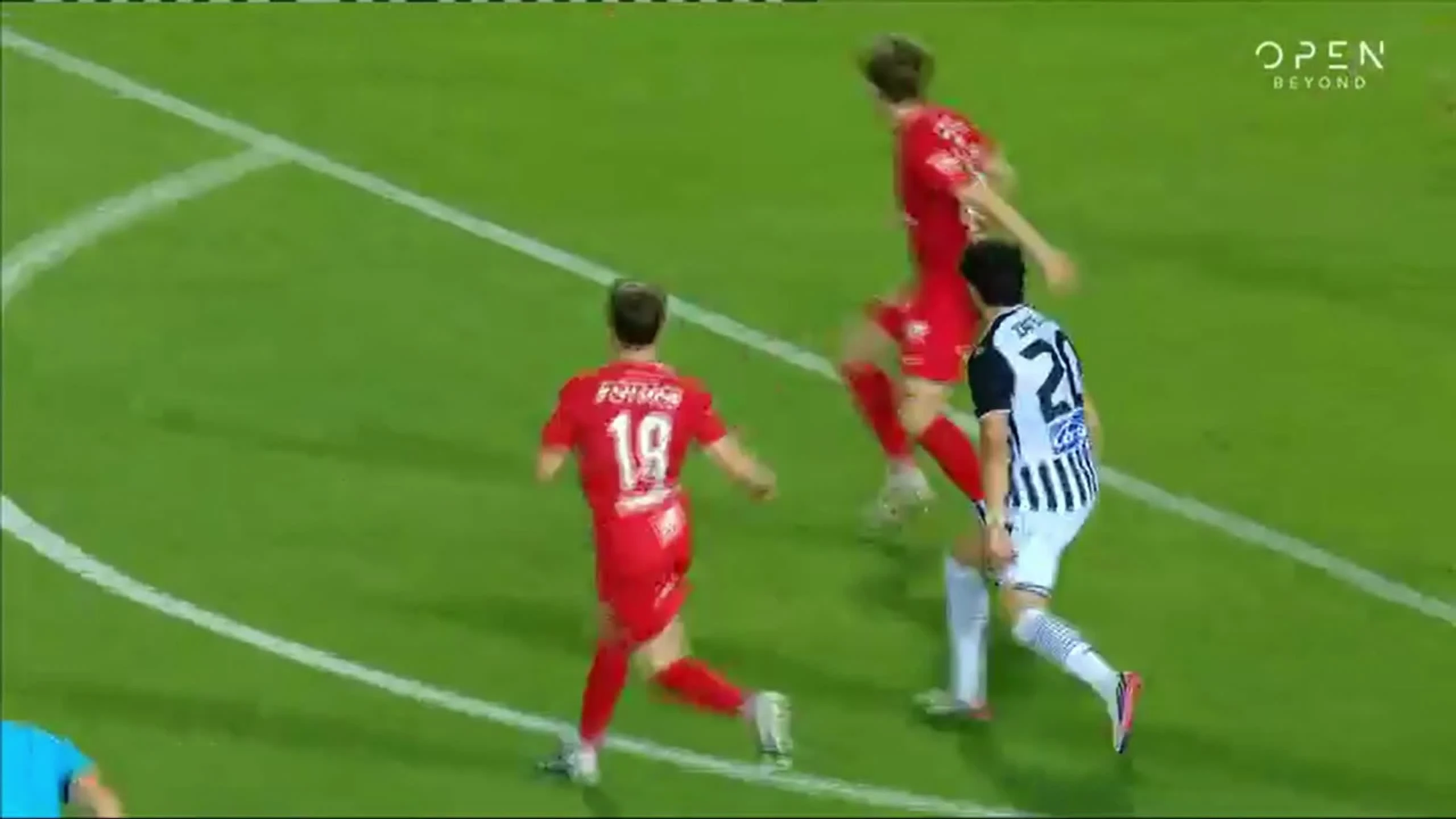 zaslepka skrotu video