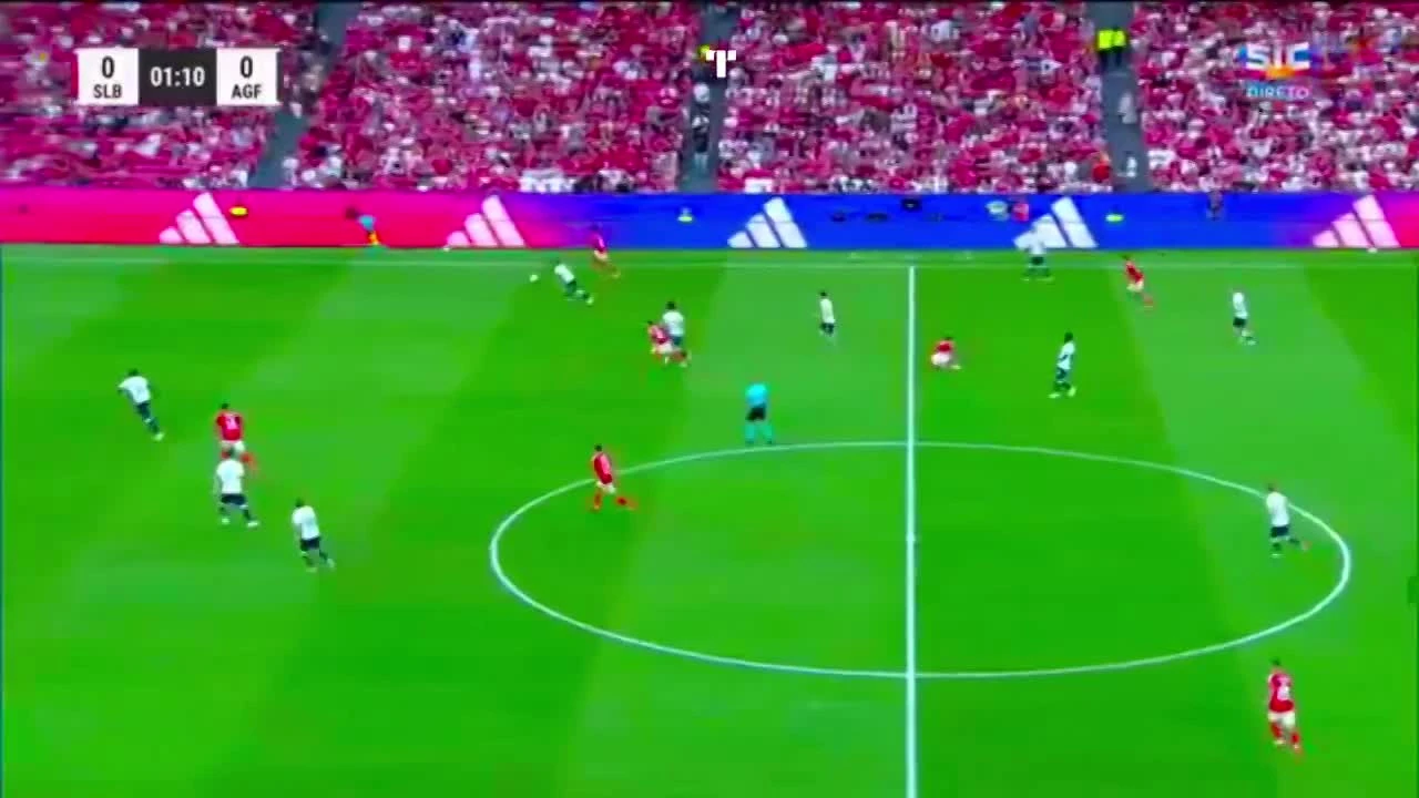 zaslepka skrotu video