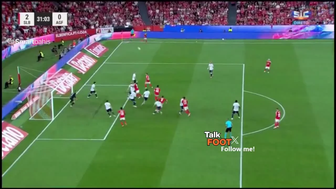 zaslepka skrotu video