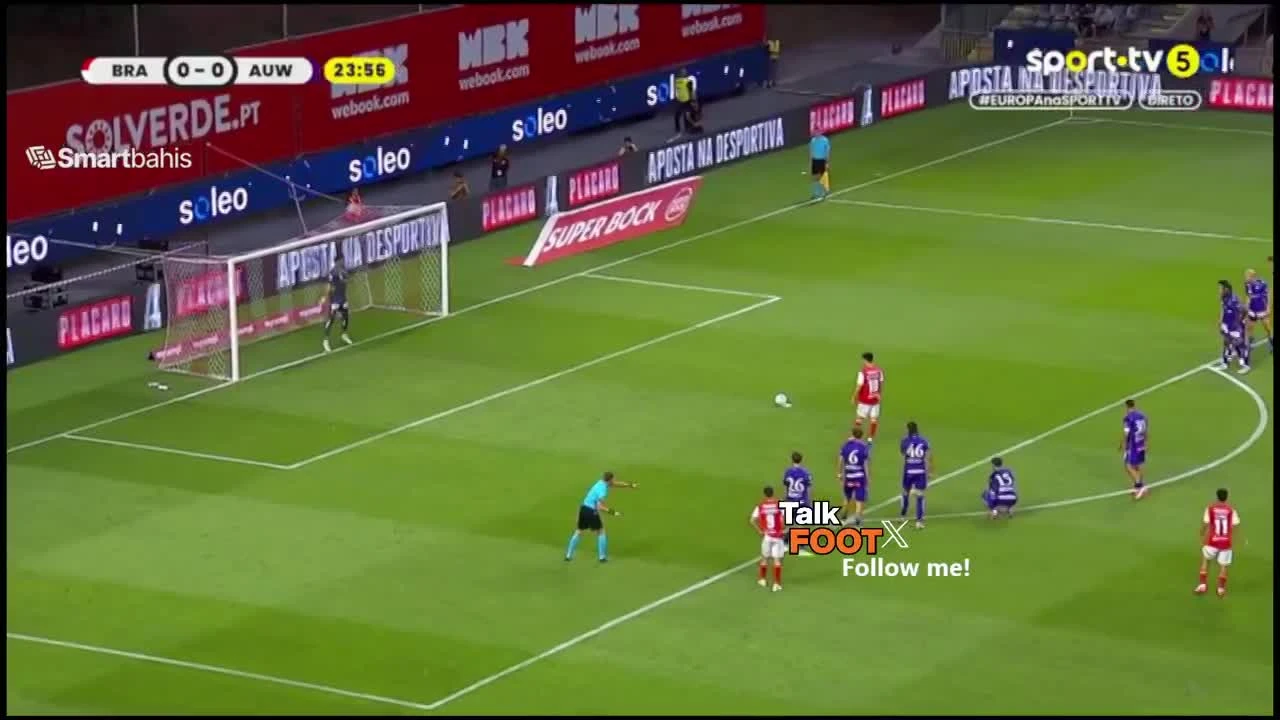 zaslepka skrotu video