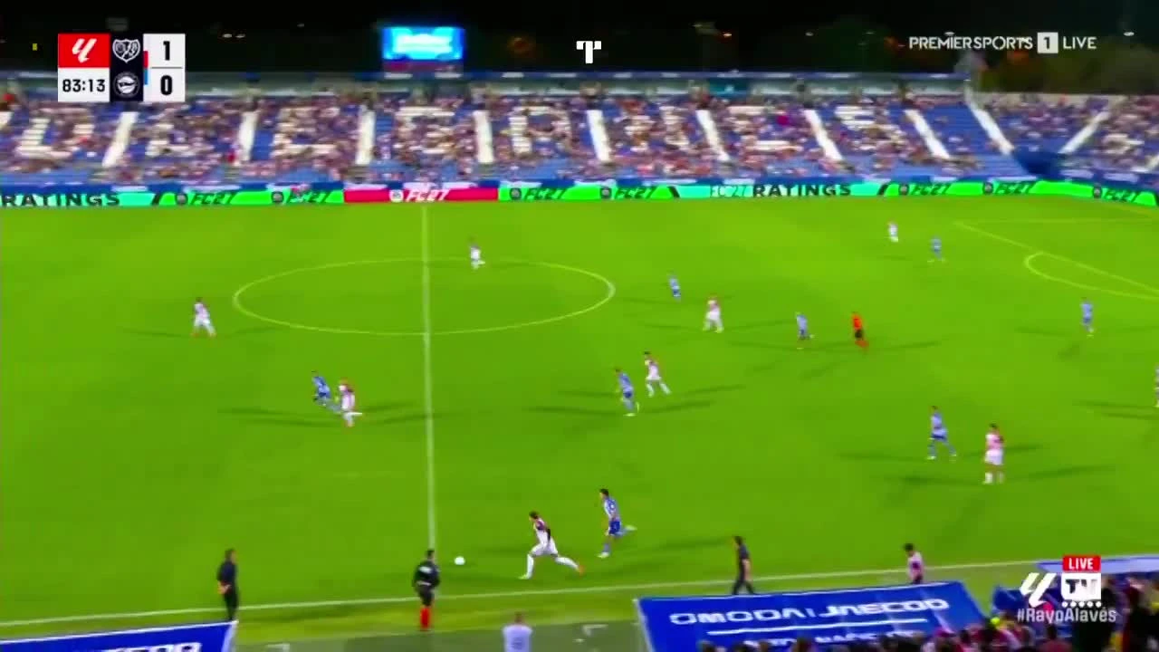 zaslepka skrotu video