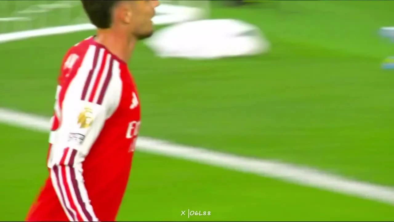 zaslepka skrotu video