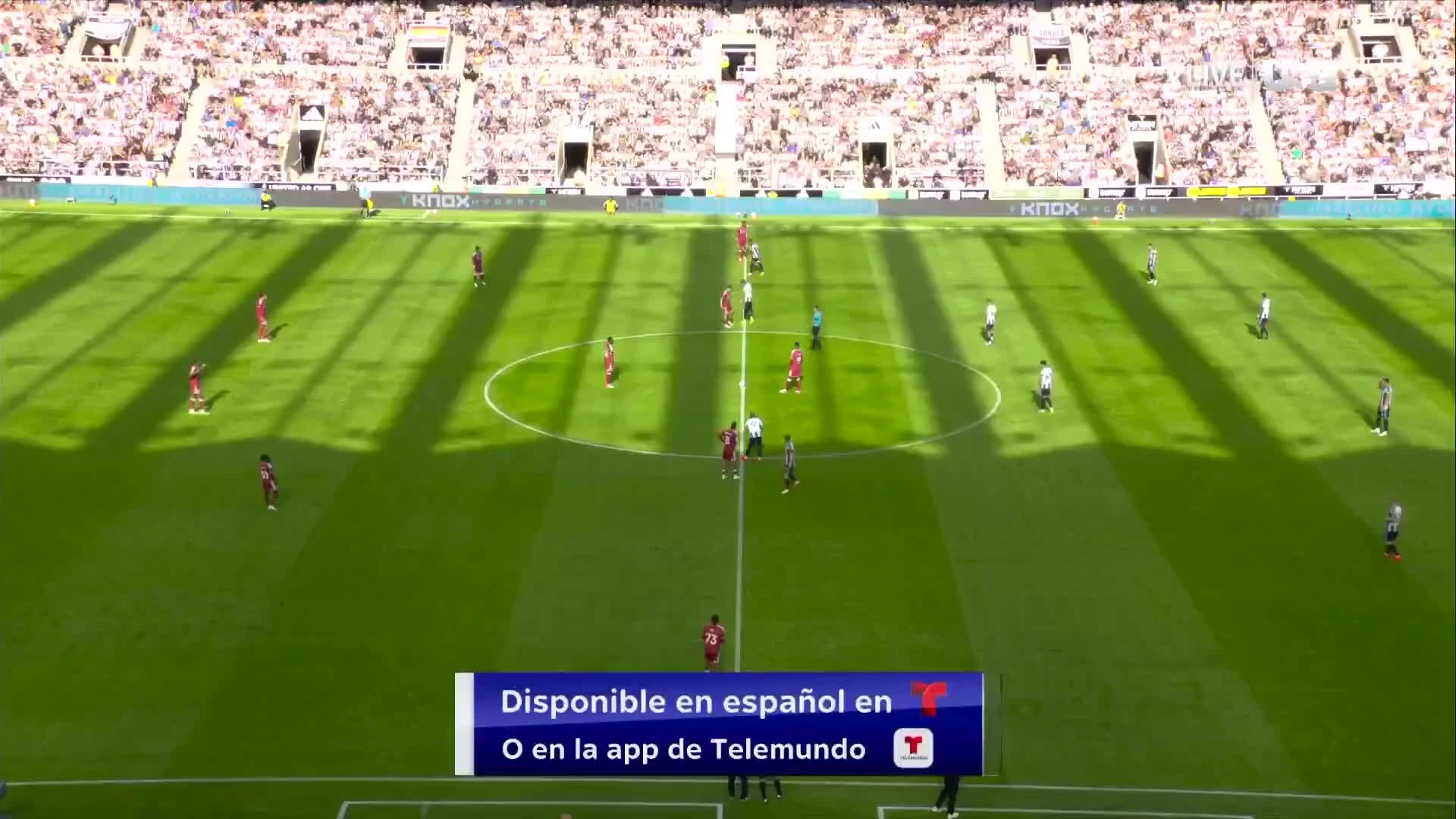 zaslepka skrotu video