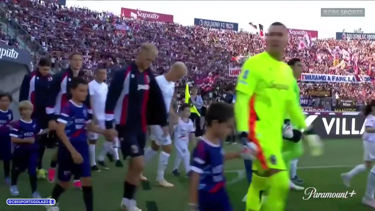 zaslepka skrotu video