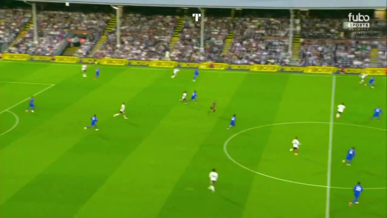 zaslepka skrotu video