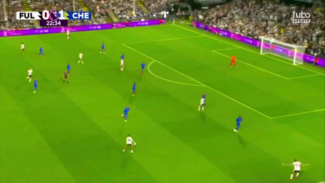 zaslepka skrotu video