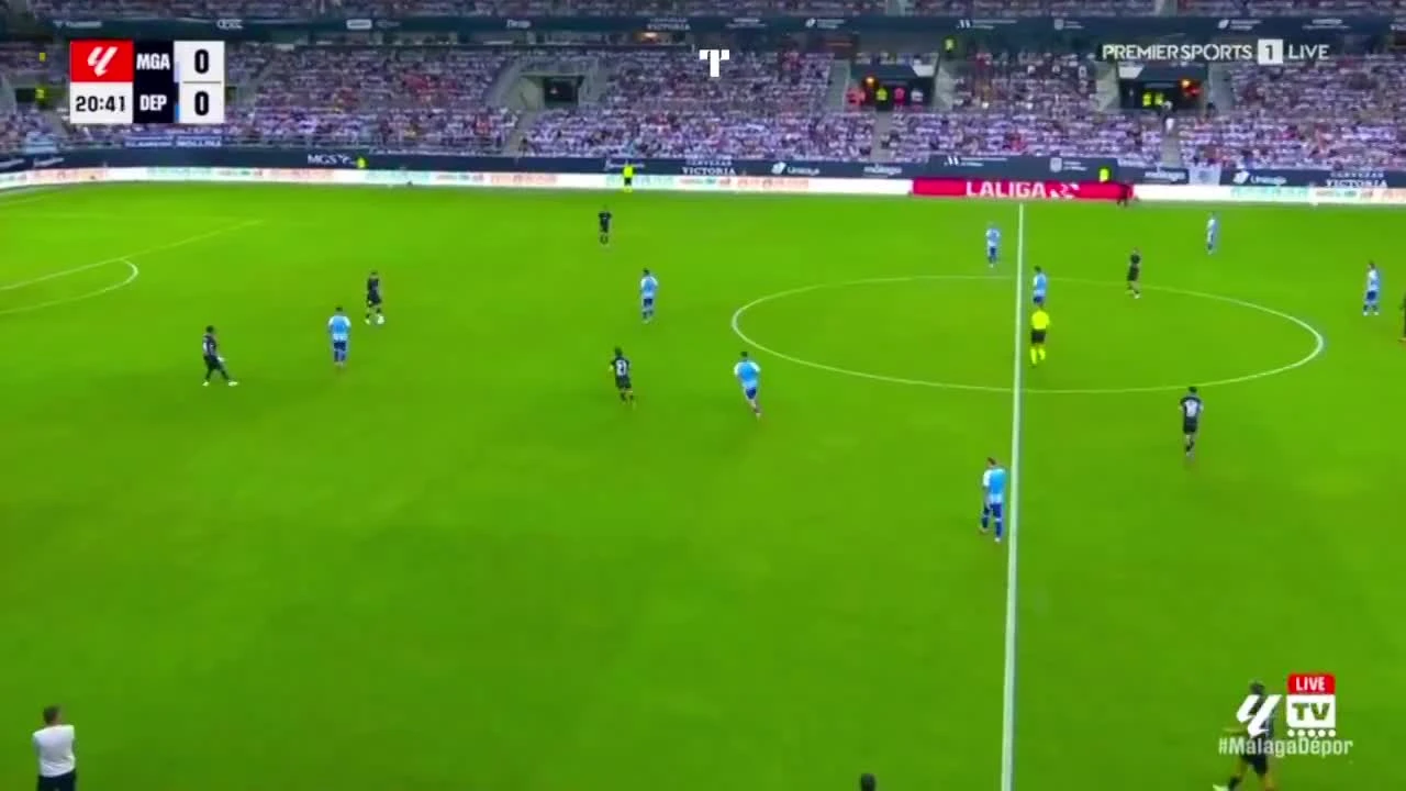 zaslepka skrotu video