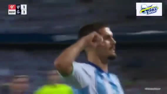 zaslepka skrotu video