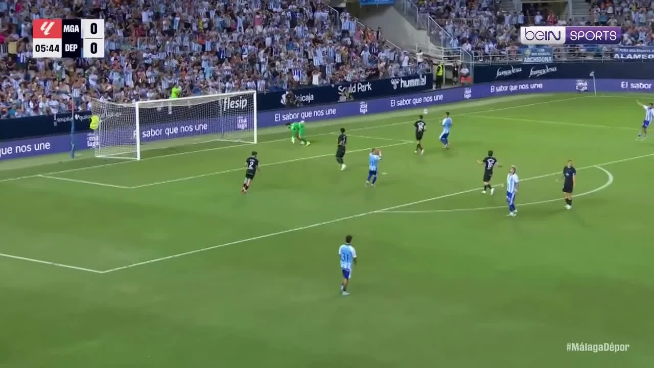 zaslepka skrotu video