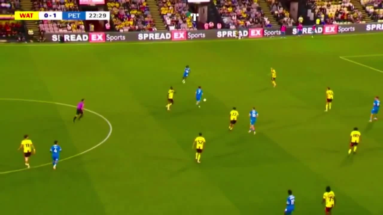 zaslepka skrotu video