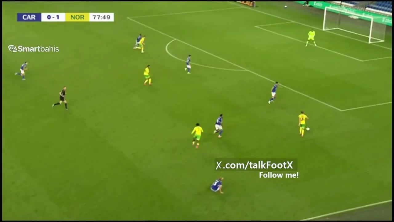 zaslepka skrotu video