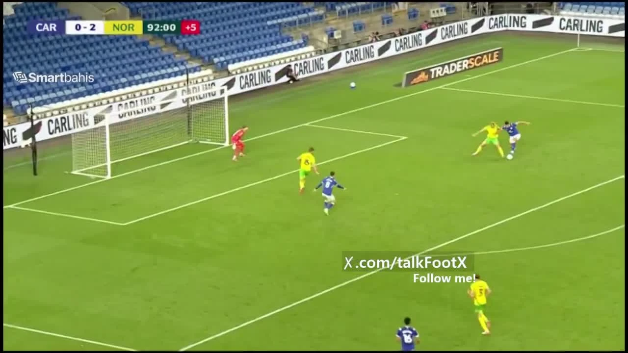 zaslepka skrotu video