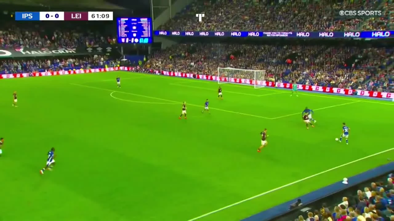 zaslepka skrotu video
