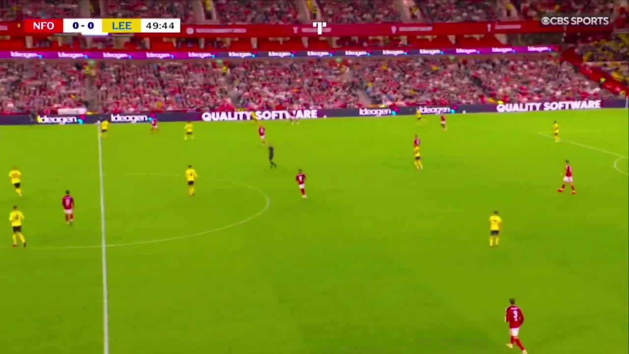 zaslepka skrotu video