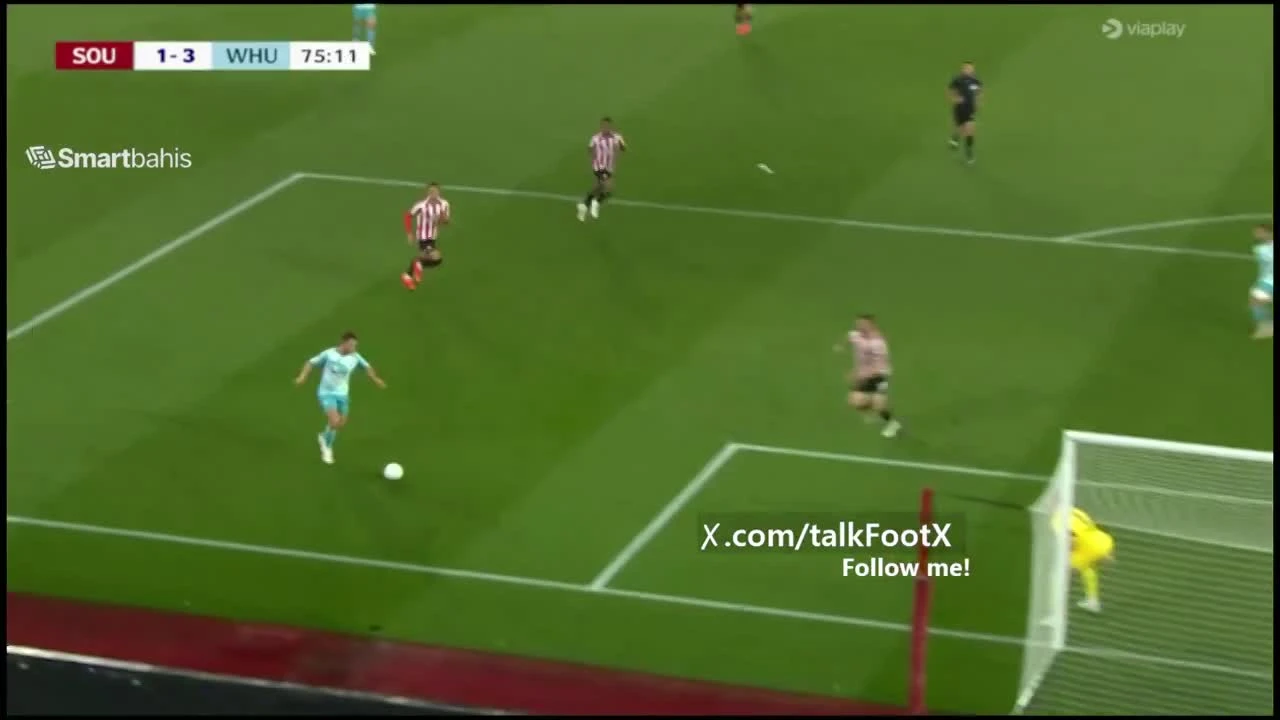 zaslepka skrotu video