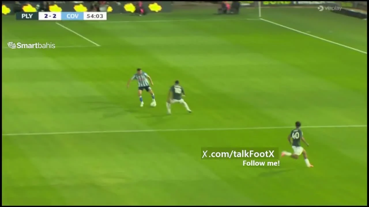 zaslepka skrotu video