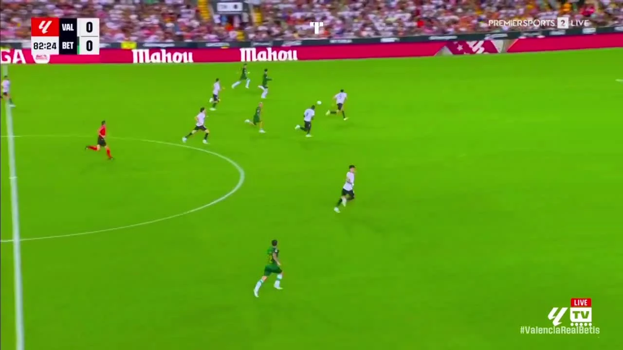 zaslepka skrotu video