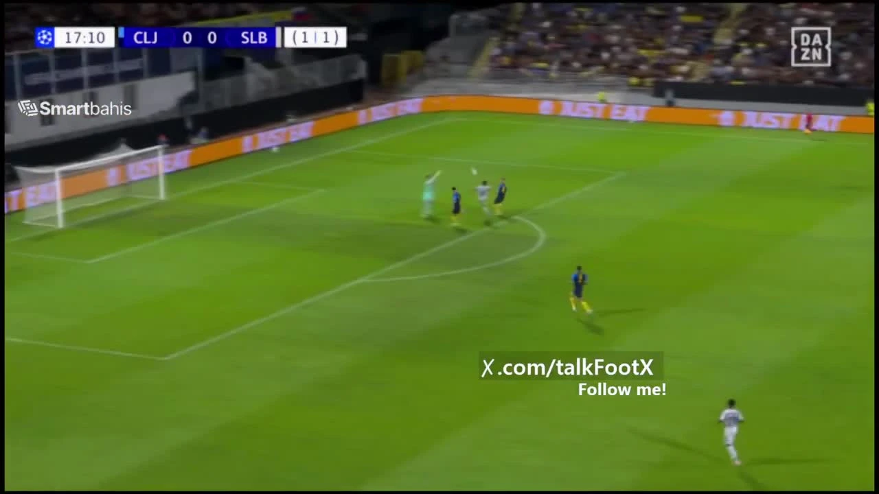 zaslepka skrotu video