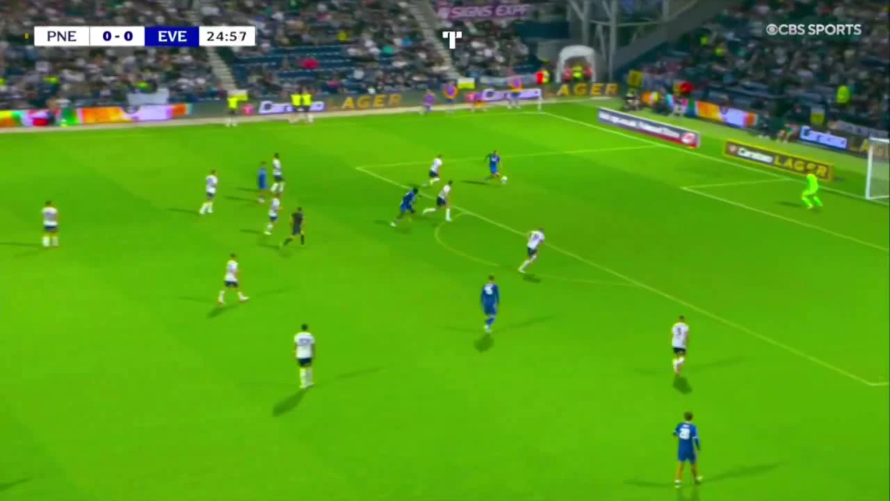 zaslepka skrotu video