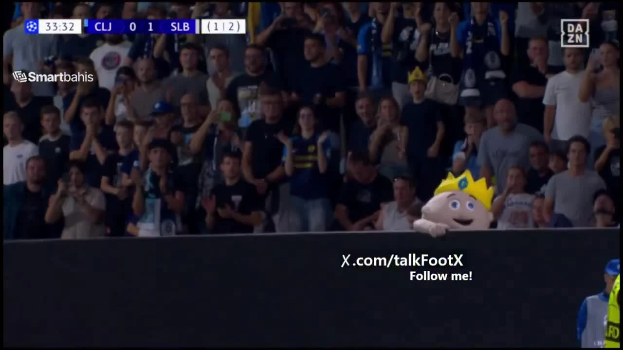 zaslepka skrotu video