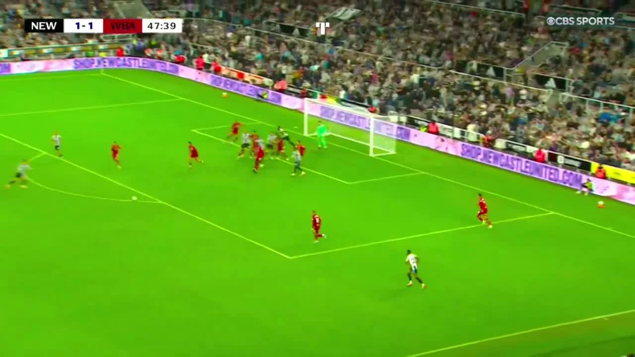 zaslepka skrotu video