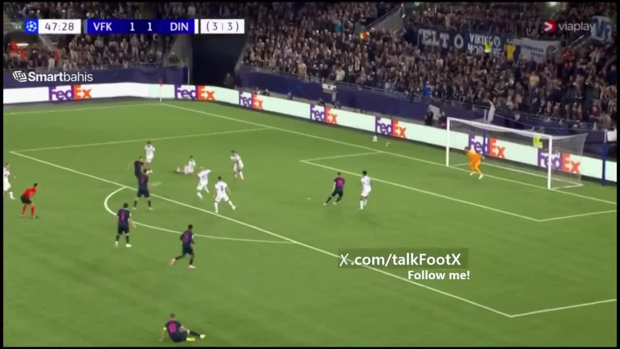 zaslepka skrotu video