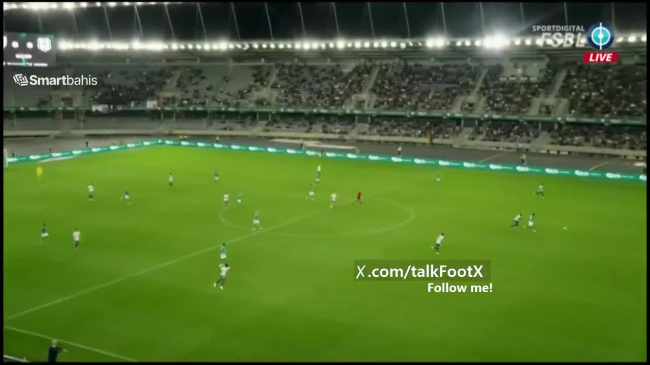 zaslepka skrotu video