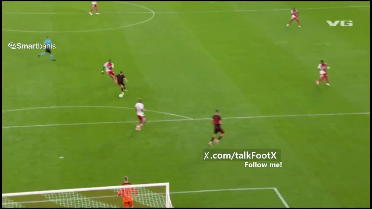 zaslepka skrotu video