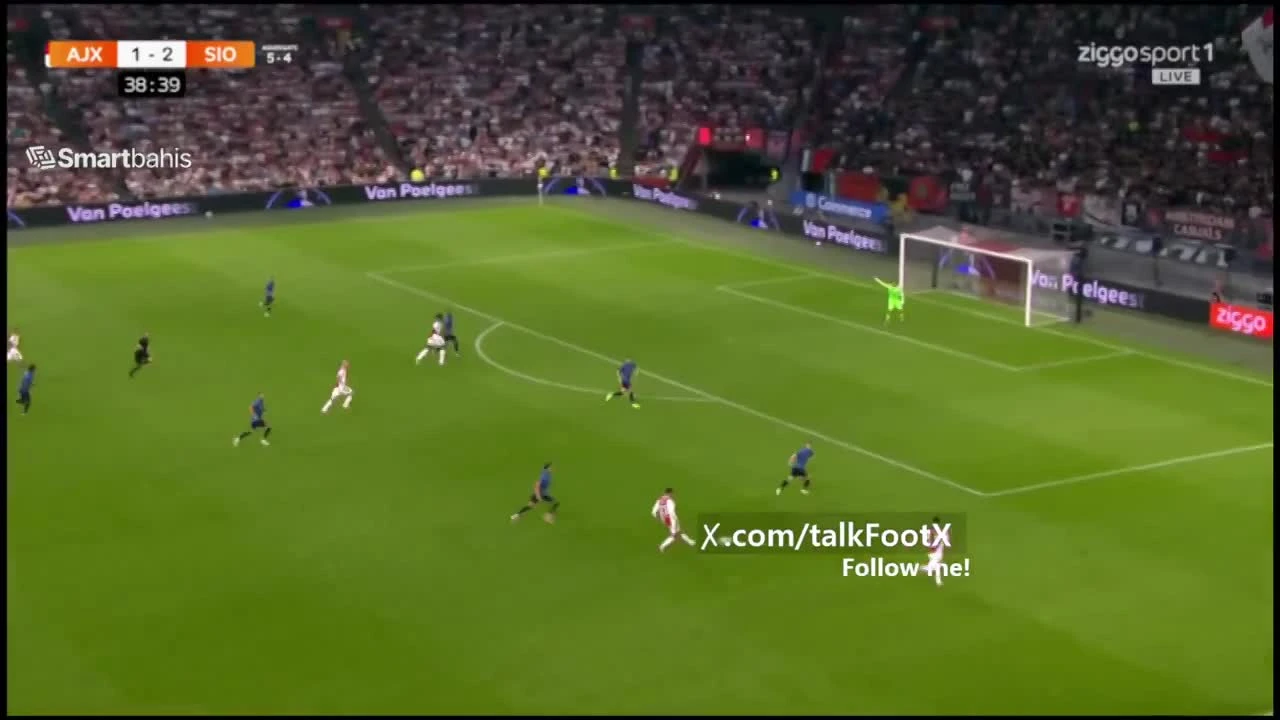zaslepka skrotu video