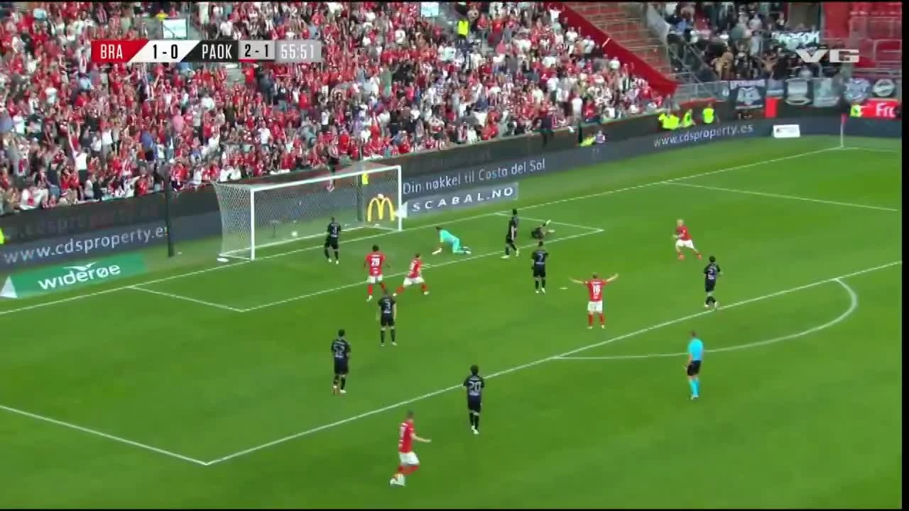 zaslepka skrotu video