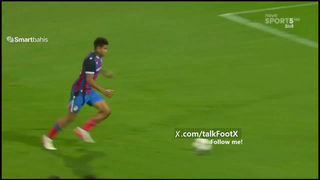 zaslepka skrotu video
