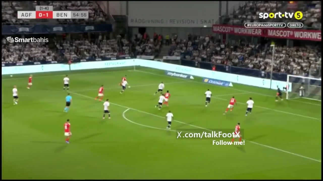 zaslepka skrotu video