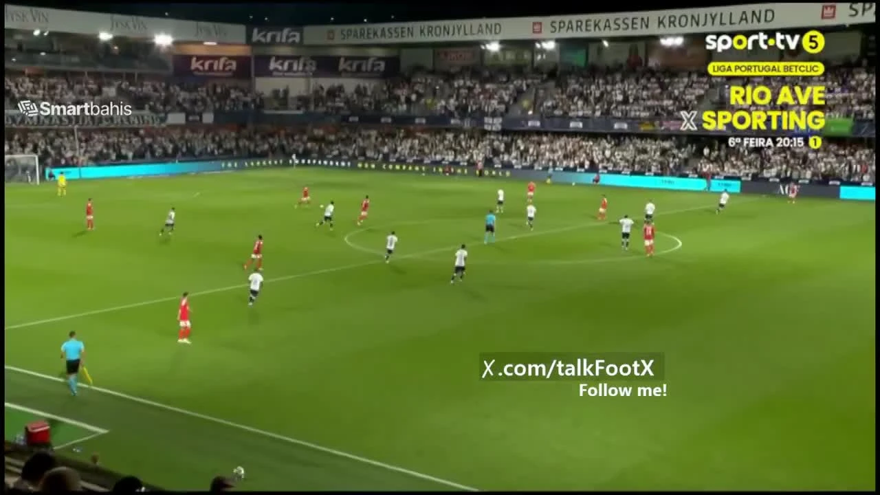 zaslepka skrotu video