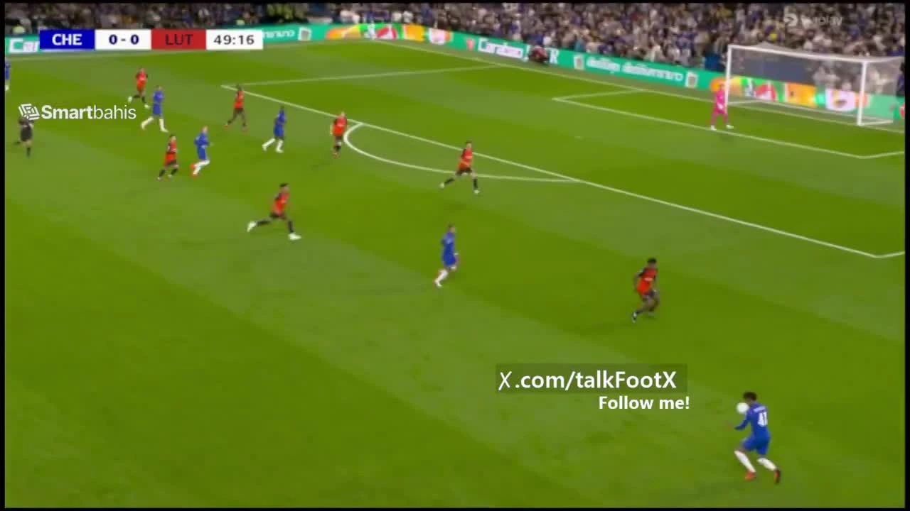 zaslepka skrotu video