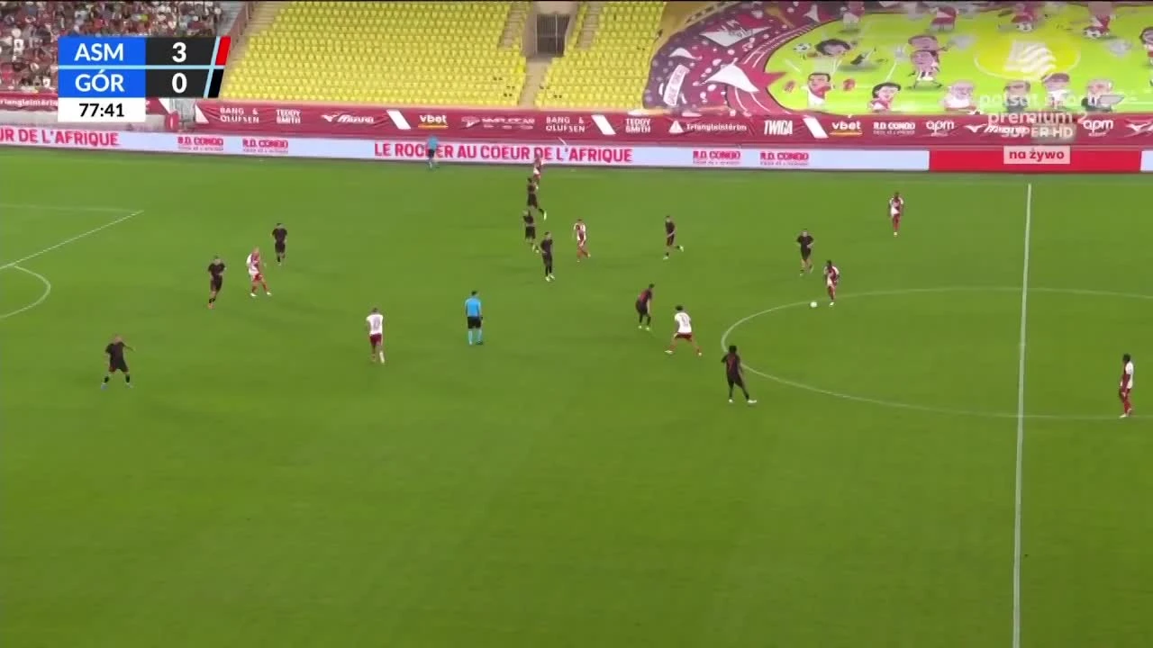 zaslepka skrotu video