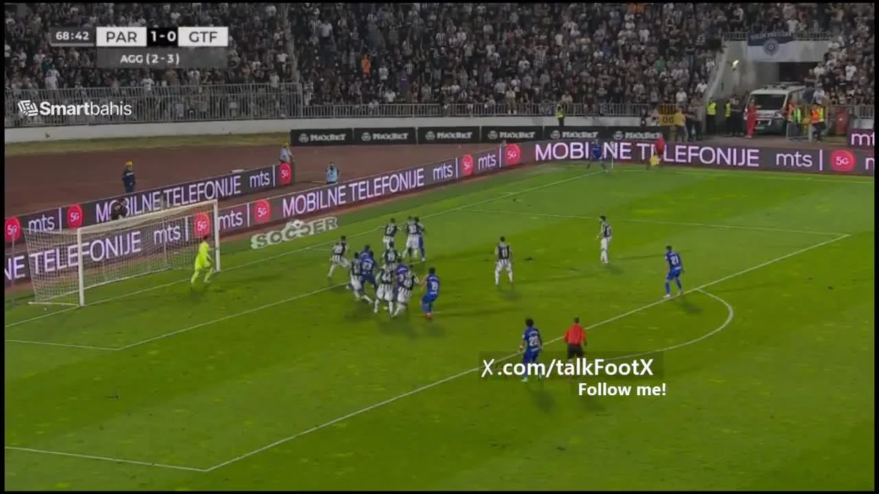 zaslepka skrotu video