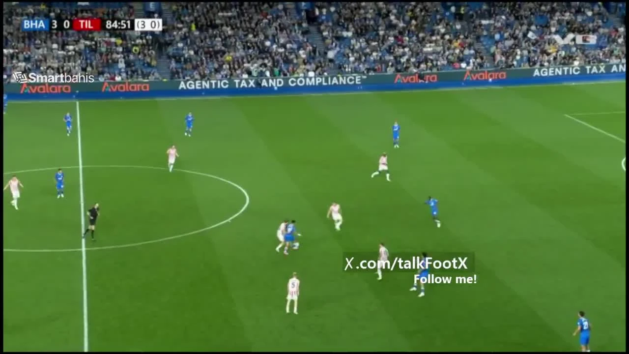 zaslepka skrotu video