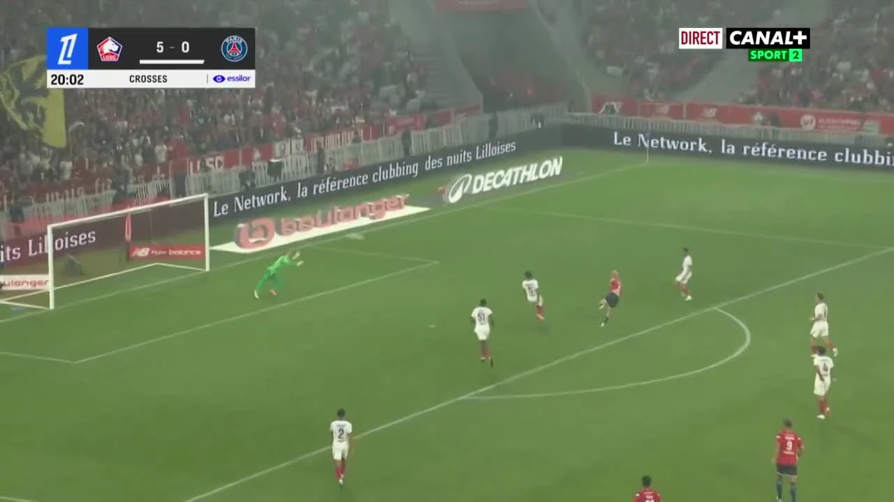 zaslepka skrotu video