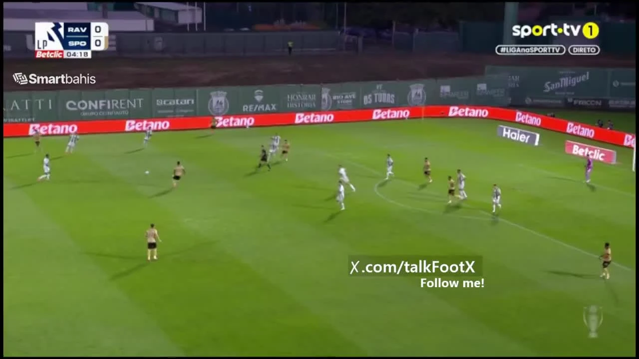zaslepka skrotu video