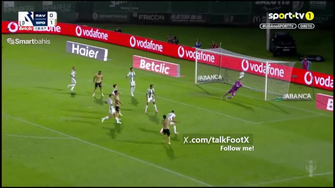 zaslepka skrotu video