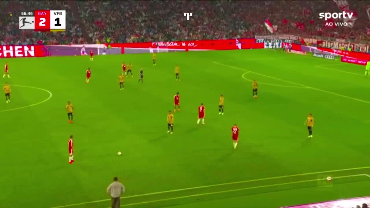 zaslepka skrotu video