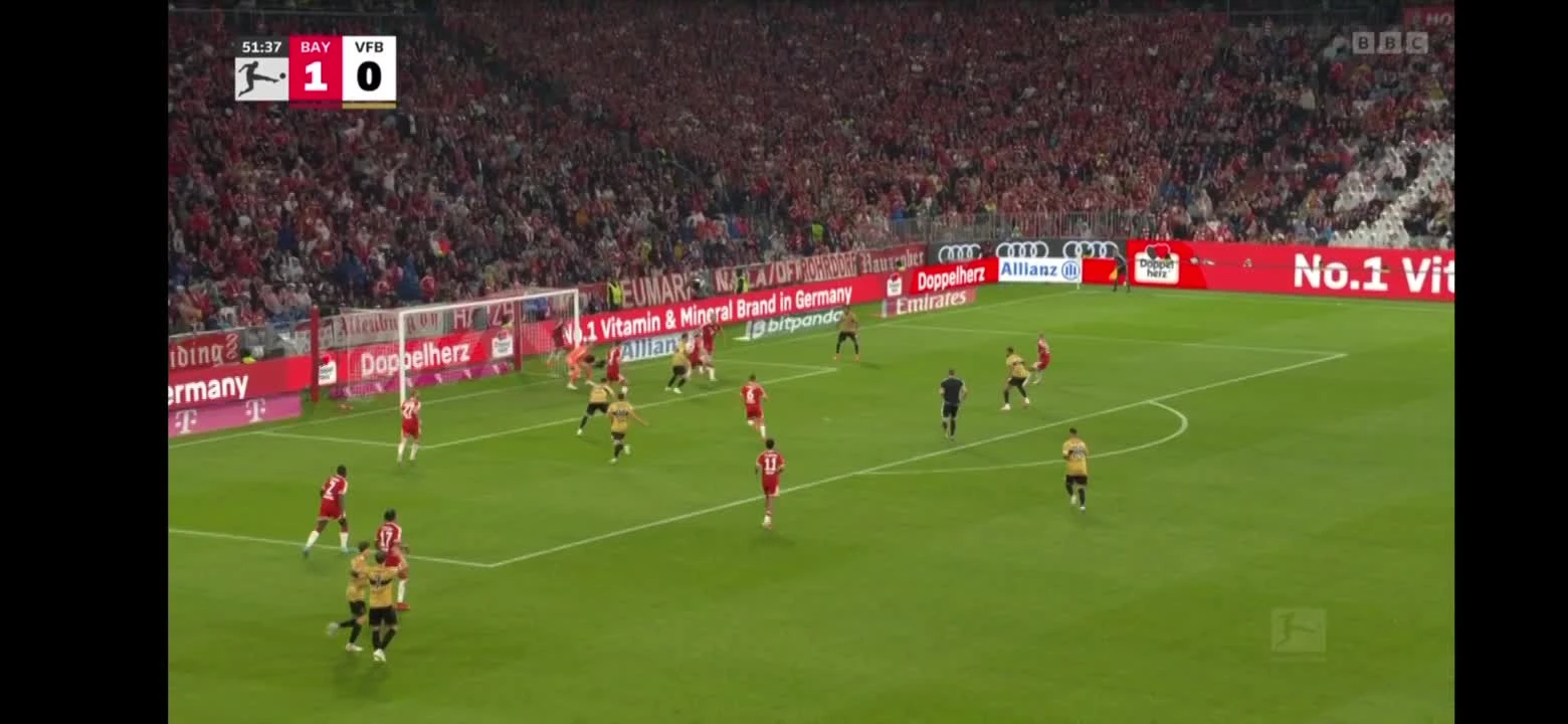 zaslepka skrotu video