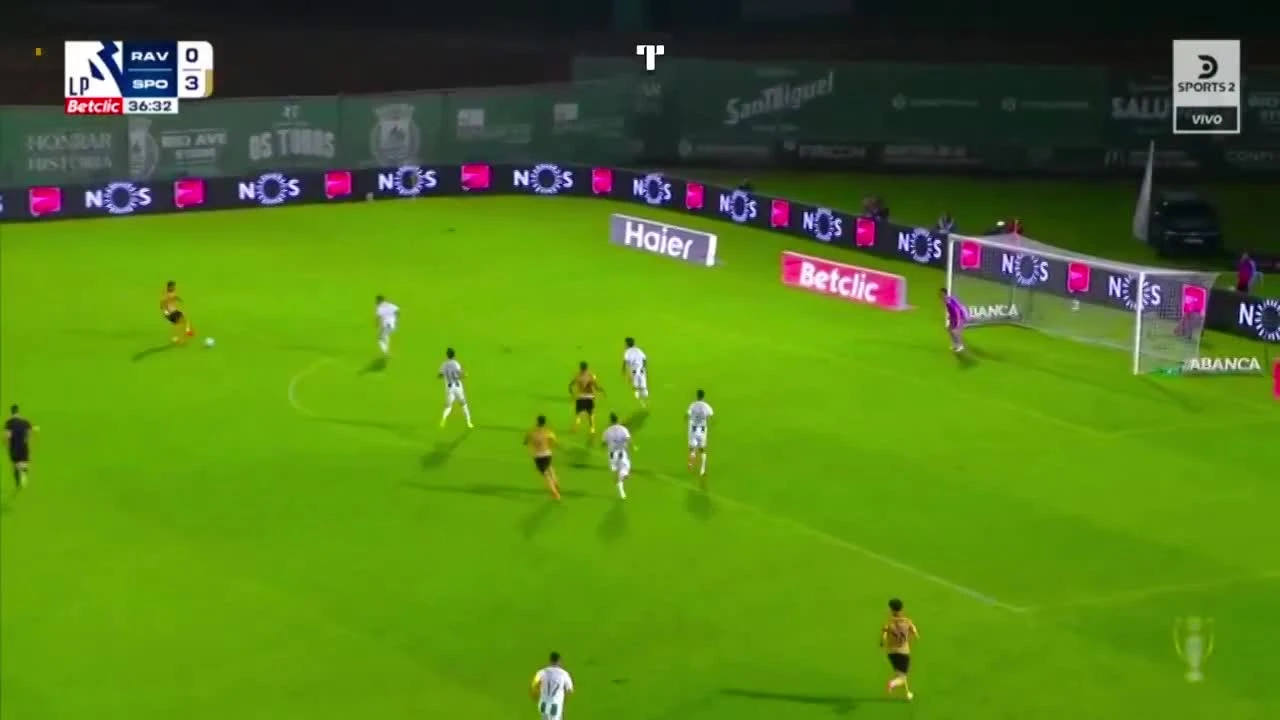 zaslepka skrotu video