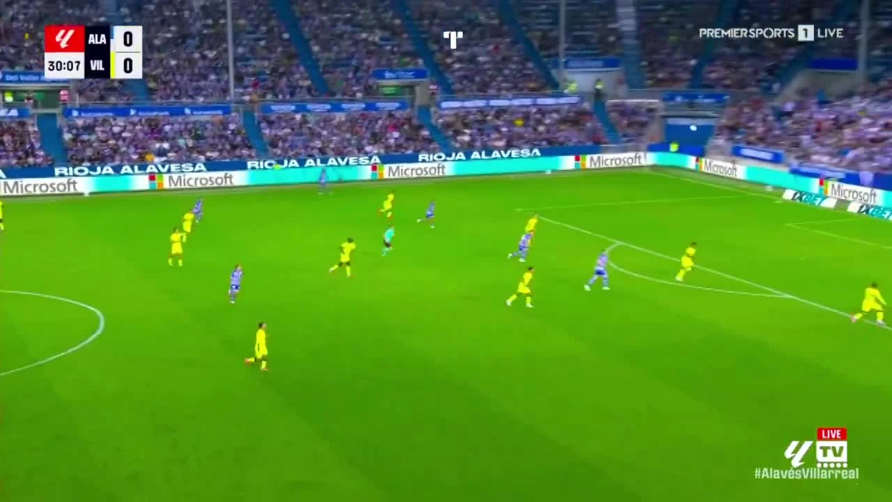 zaslepka skrotu video