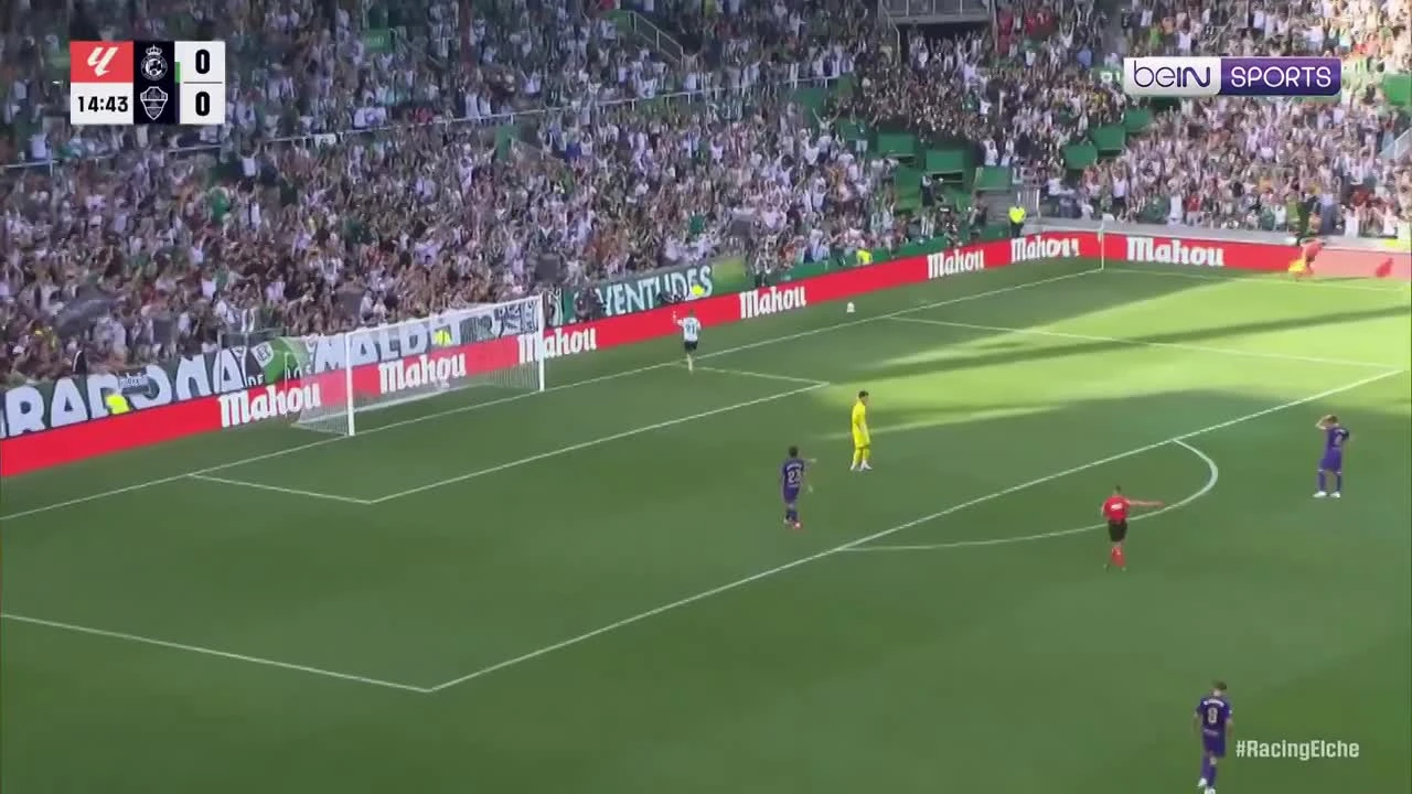 zaslepka skrotu video