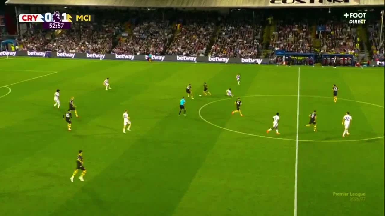 zaslepka skrotu video