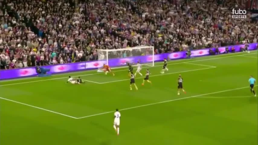 zaslepka skrotu video